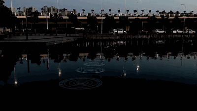 13c92f960a169fd32ee2a6b047413bf5.jpg